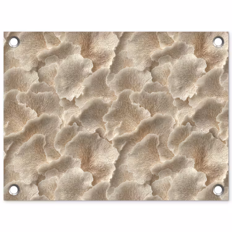 Tuinposter - Waaierstructuren - Beige - Vezeltextuur — 1