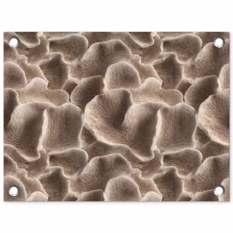 Tuinposter - Waaiervorm - Beige - Vezel textuur — 1