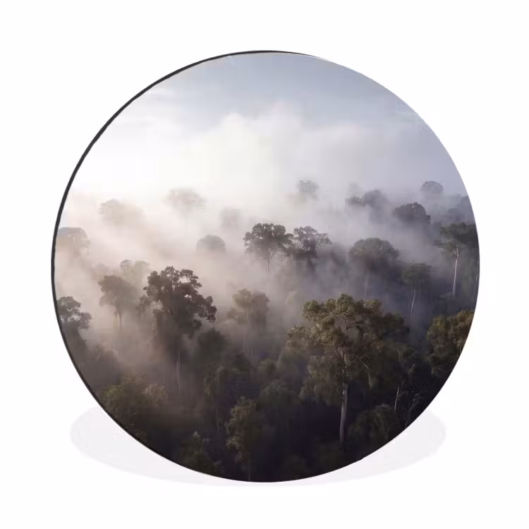 Wandcirkel - Aluminium - Bos - Mist - Natuur - Groen — 1