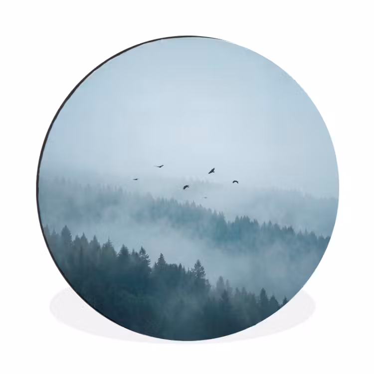 Wandcirkel - Aluminium - Bos - Mist - Vogels - Natuur - Groen — 1