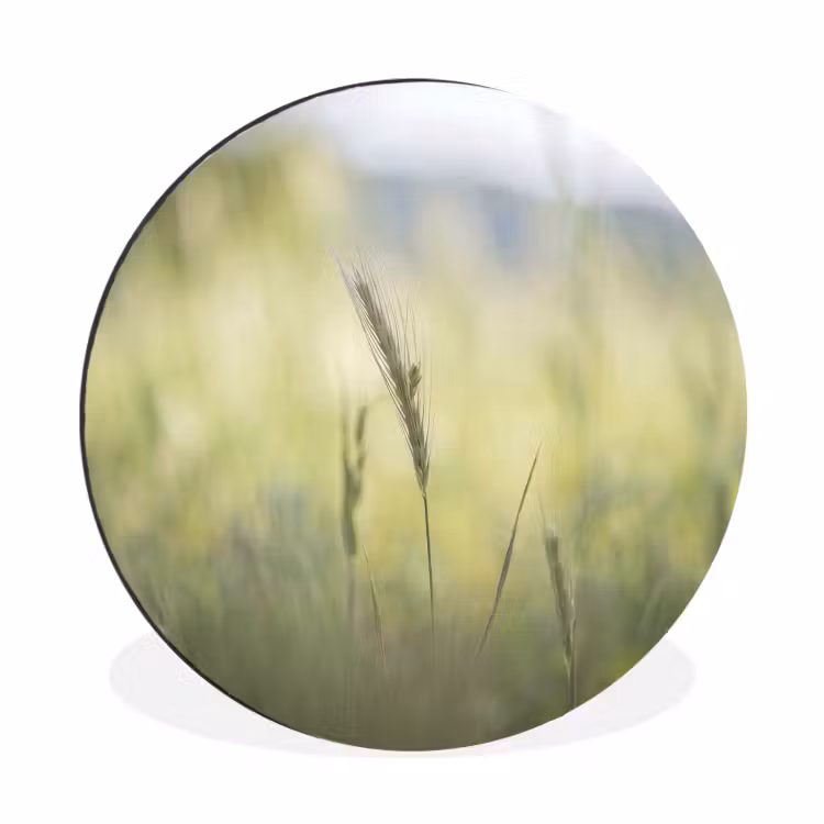 Wandcirkel - Aluminium - Graan - Aar - Natuur - Groen - Detail — 1