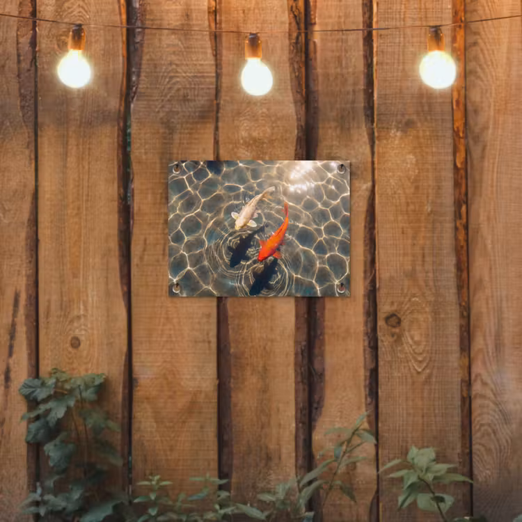 Tuinposter - Vis - Water - Dieren - Oranje - Goud — 2