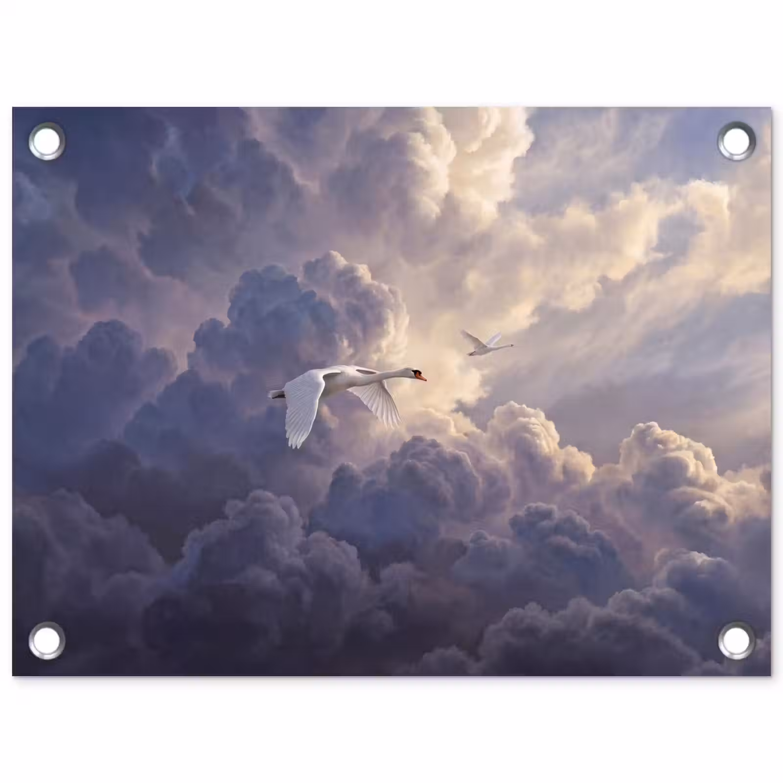 Tuinposter - Vogel - Vliegend - Natuur - Wit - Wolken — 1