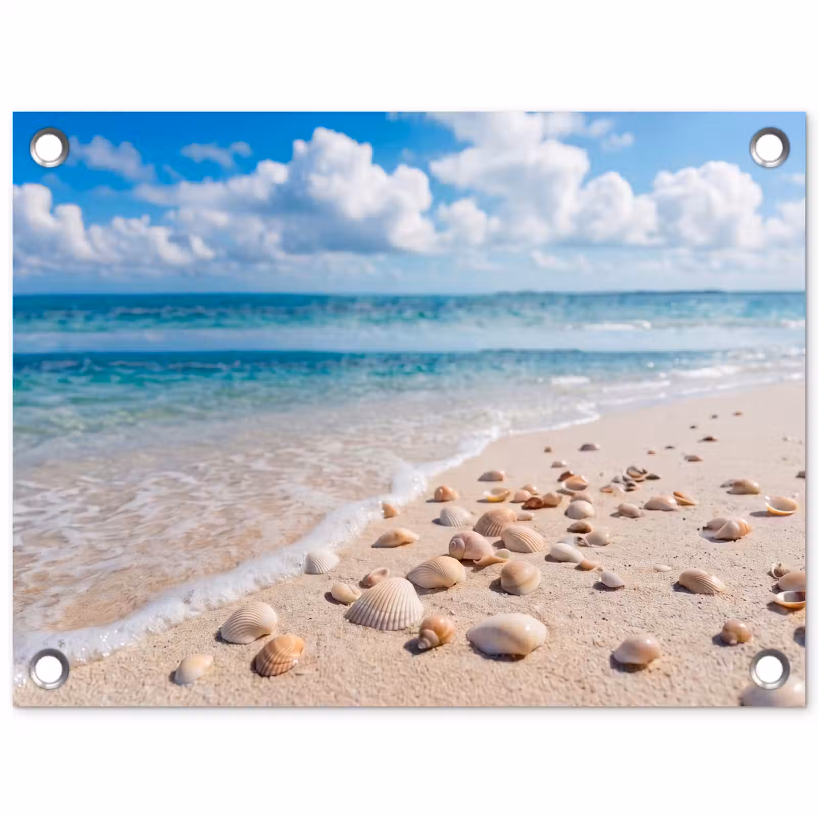 Tuinposter - Schelpen - Strand - Natuur - Beige — 1