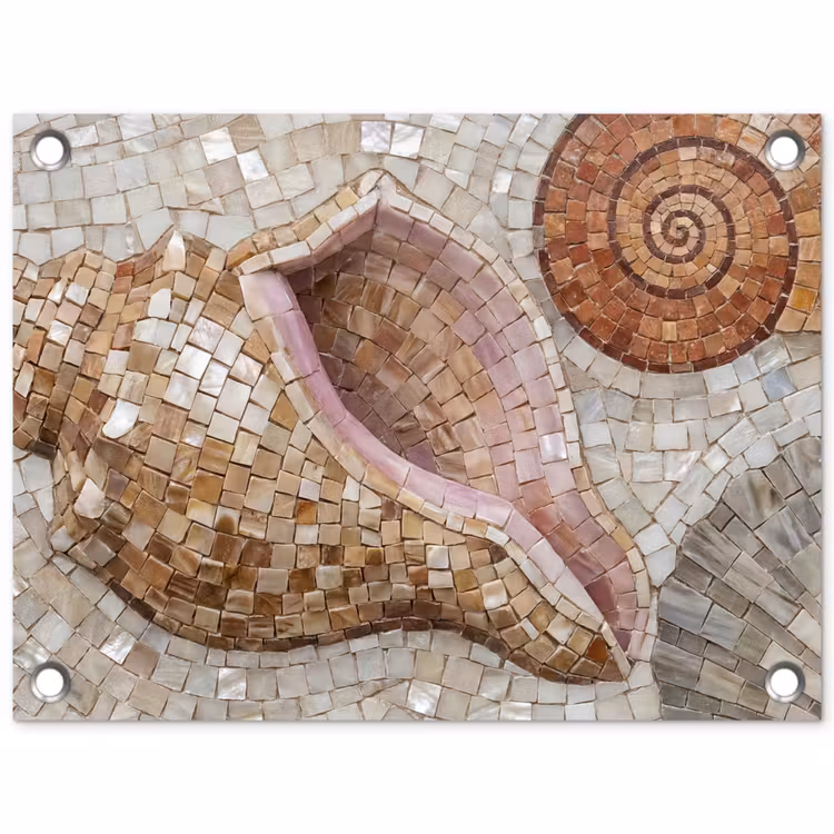 Tuinposter - Schelp - Mozaïek - Zee - Beige - Modern — 1