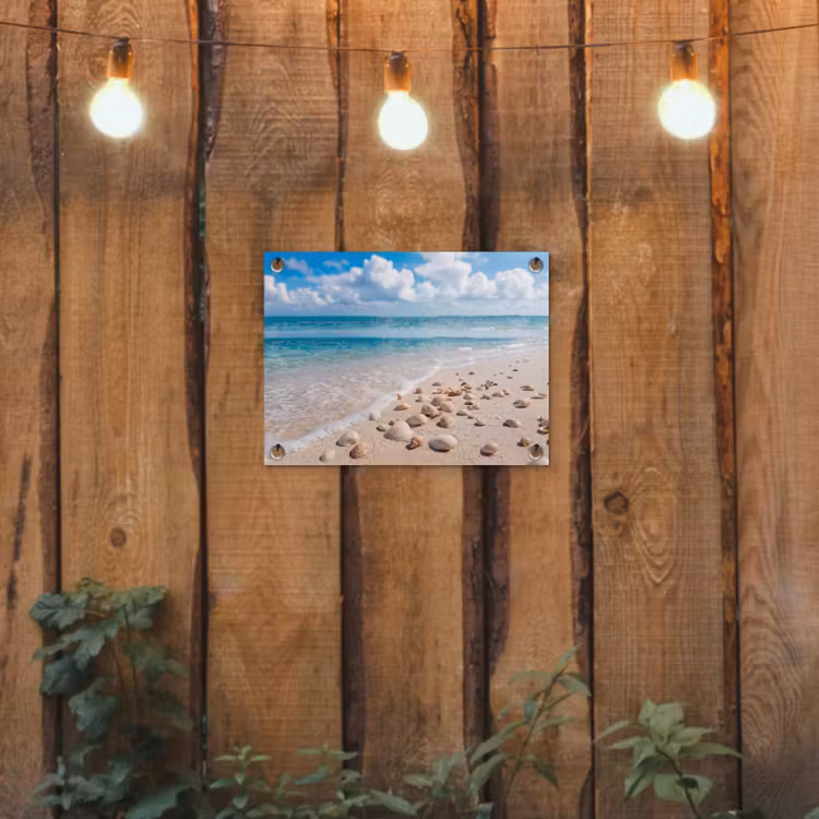 Tuinposter - Schelpen - Strand - Natuur - Beige — 2