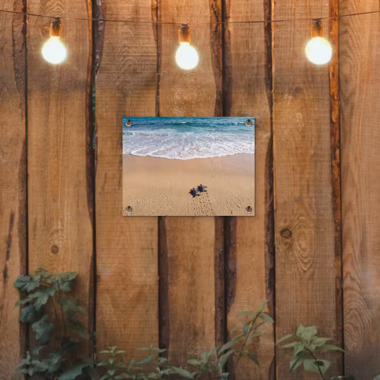 Tuinposter - Schildpad - Jong - Strand - Oceaan - Blauw — 2