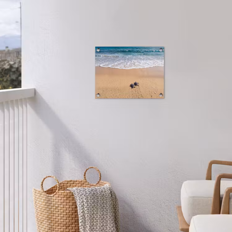 Tuinposter - Schildpad - Jong - Strand - Oceaan - Blauw — 3