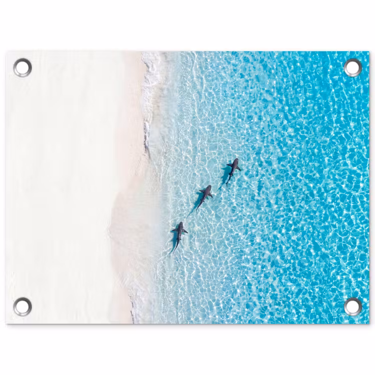 Tuinposter - Vis - Oceaan - Strand - Turquoise - Natuur — 1