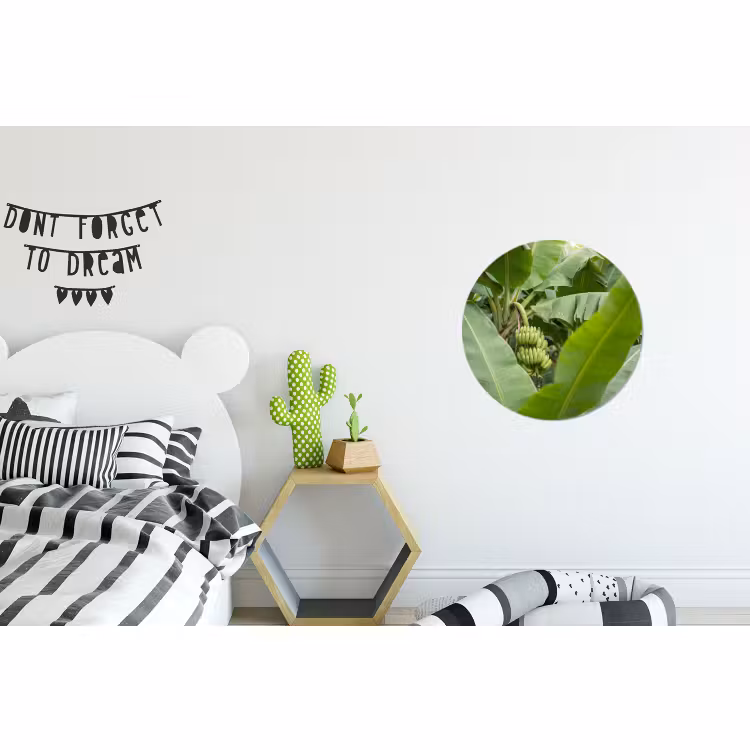 Wandcirkel - Aluminium - Eten - Bananen - Plantage - Groen — 5