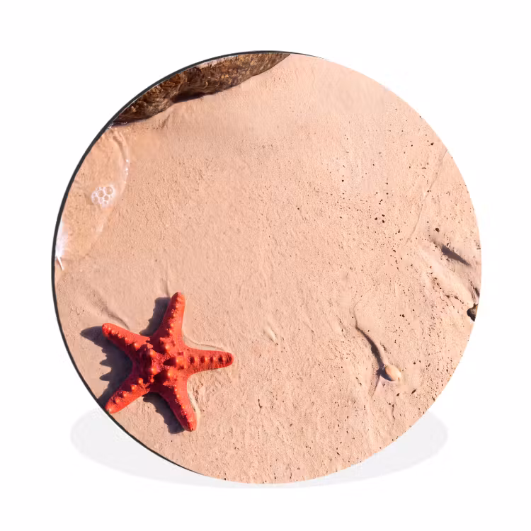 Wandcirkel - Aluminium - Dieren - Strand - Zee - Natuur - Rood — 1