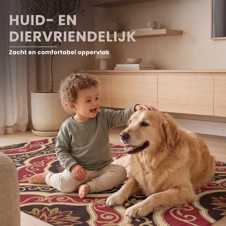 Vloerkleed - Patroon - Ornament - Barok - Rood - Goud — 6