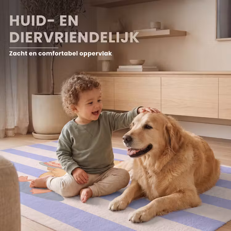 Vloerkleed - Vogel - Feest - Taart - Kinder - Illustratie — 6
