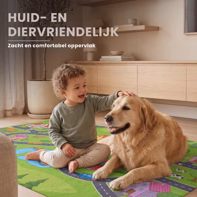 Vloerkleed - Dorp - Wegen - Huizen — 6