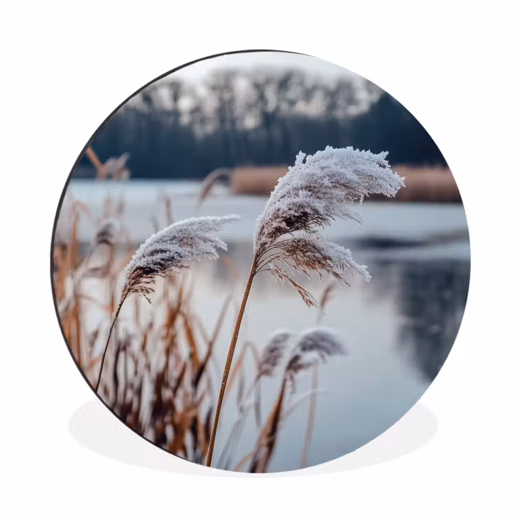 Wandcirkel - Aluminium - Riet - Gras - Natuur - Winter - Meer — 1