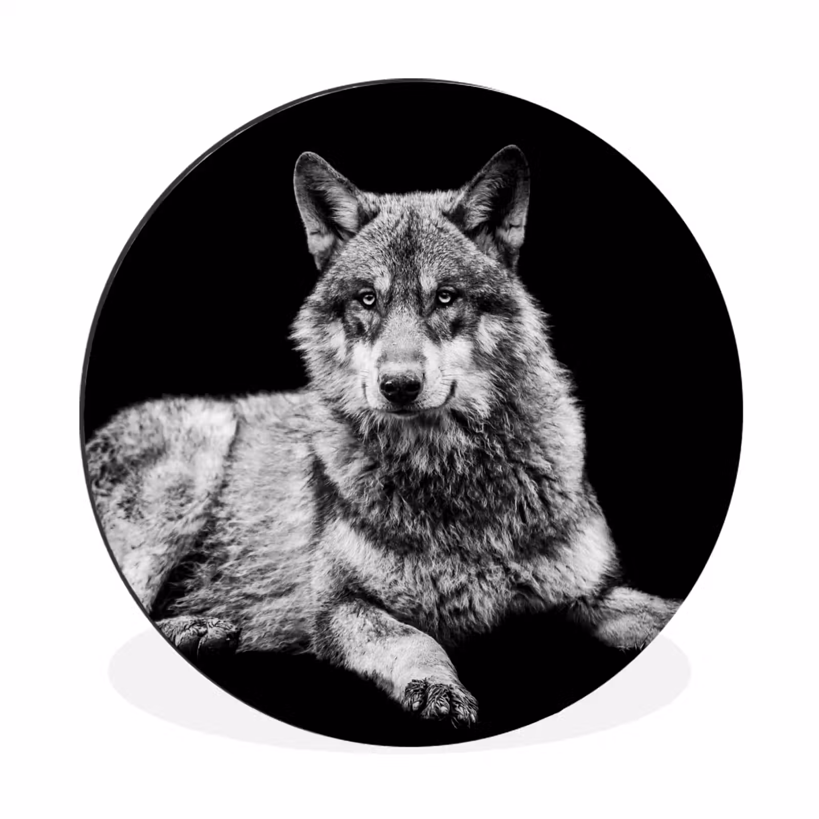 Wandcirkel - Aluminium - Wilde dieren - Wolf - Zwart - Wit — 1