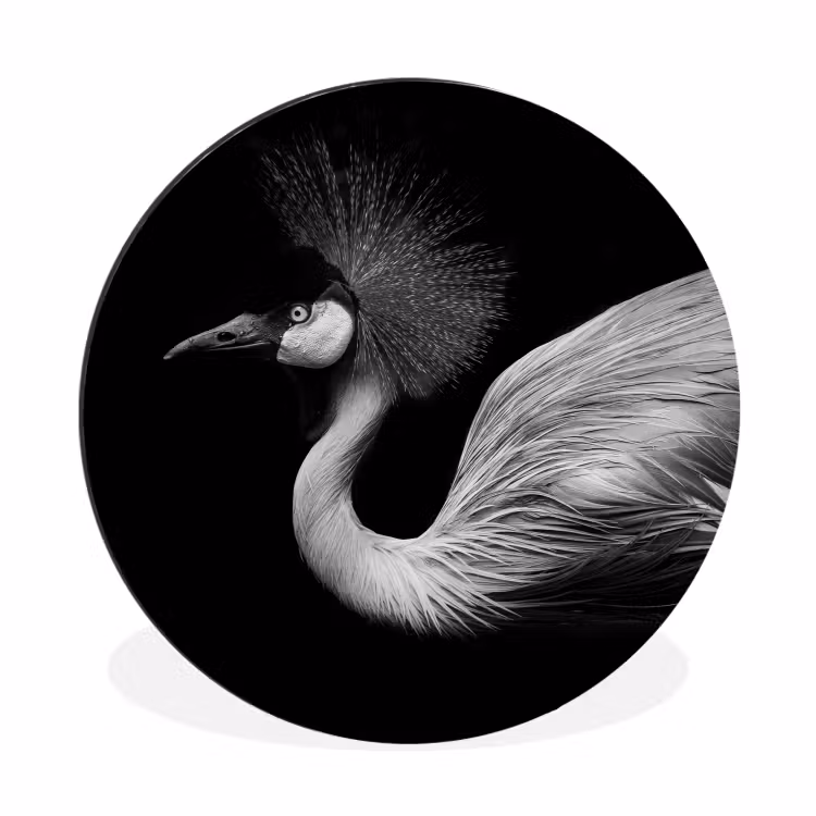 Wandcirkel - Aluminium - Kraanvogel - Zwart - Wit - Vogel - Dieren — 1