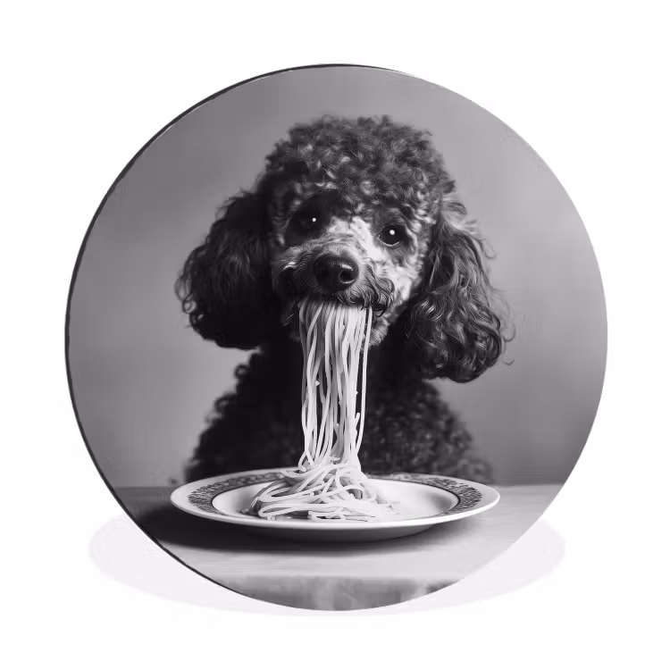 Wandcirkel - Aluminium - Poedel - Hond - Zwart - Wit - Schattig - Pasta — 1