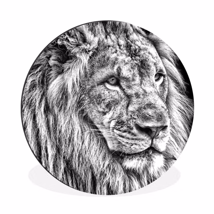 Wandcirkel - Aluminium - Portret - Leeuw - Zwart wit — 1