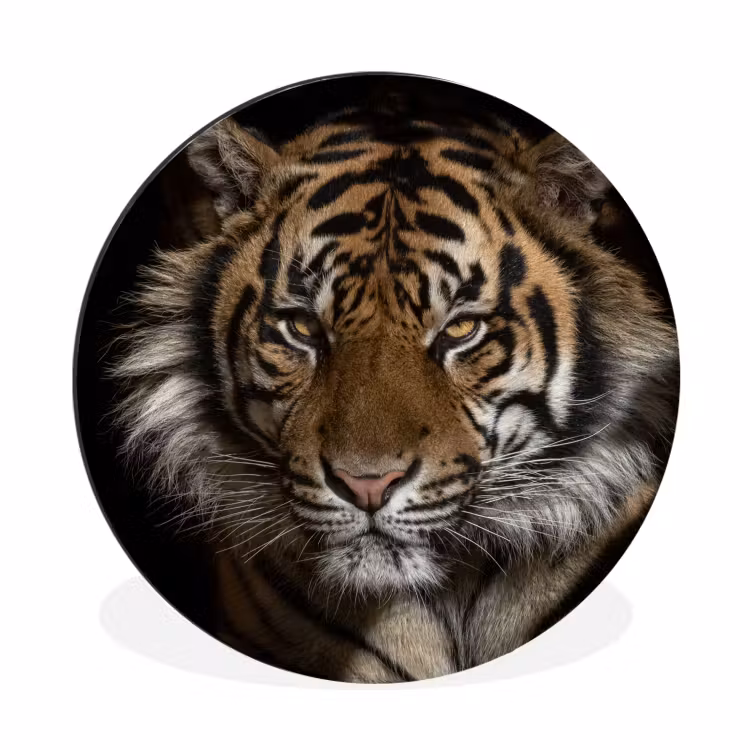 Wandcirkel - Aluminium - Tijger - Wilde dieren - Portret — 1