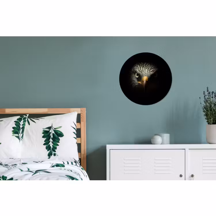 Wandcirkel - Aluminium - Vogel - Adelaar - Roofvogels - Oog - Snavel - Licht — 4