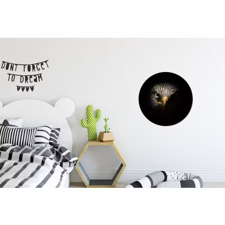 Wandcirkel - Aluminium - Vogel - Adelaar - Roofvogels - Oog - Snavel - Licht — 5