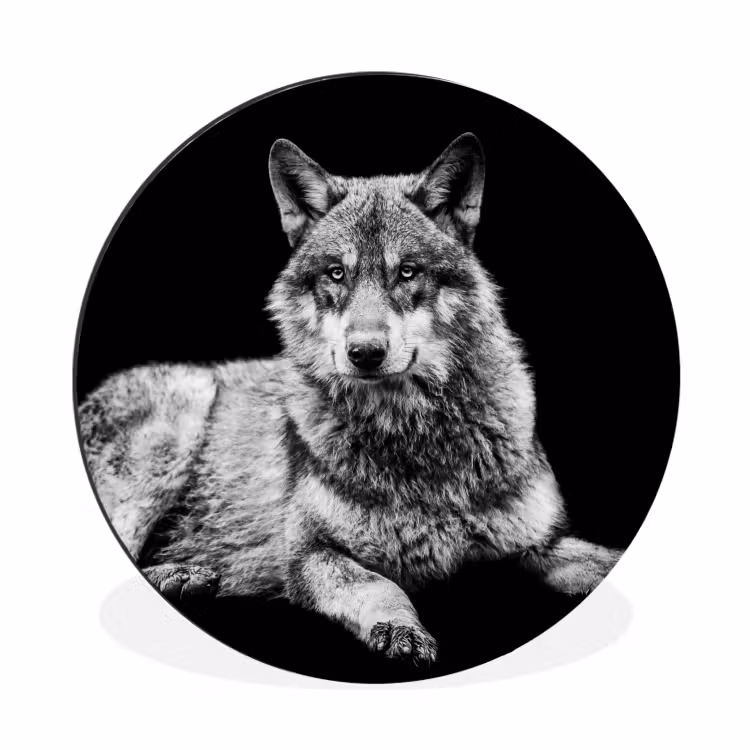 Wandcirkel - Aluminium - Wilde dieren - Wolf - Zwart - Wit — 1