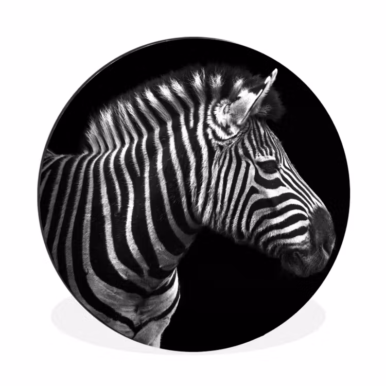 Wandcirkel - Aluminium - Zebra - Zwart - Wit - Portret - Dieren — 1