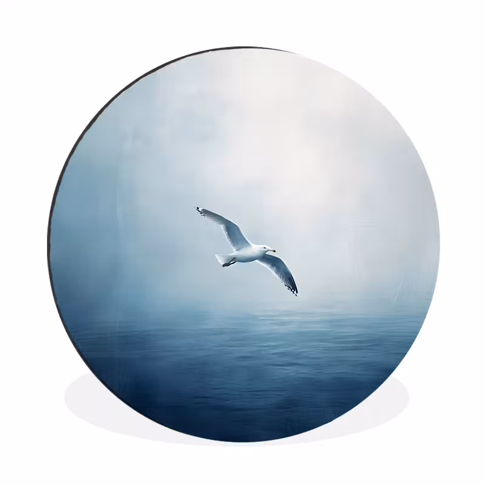 Wandcirkel - Aluminium - Meeuw - Wit - Zee - Mistig — 1