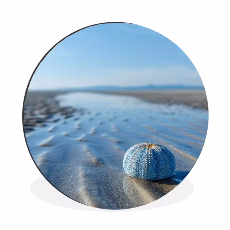 Wandcirkel - Aluminium - Strand - Schild - Water - Blauw — 1