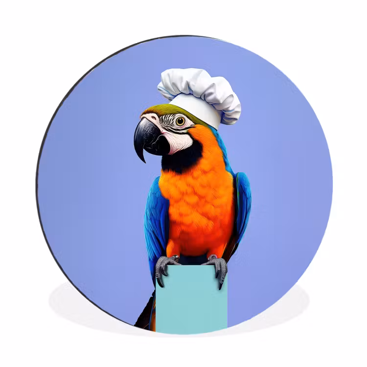Wandcirkel - Aluminium - Papegaai - Koksmuts - Vogel - Leuk — 1