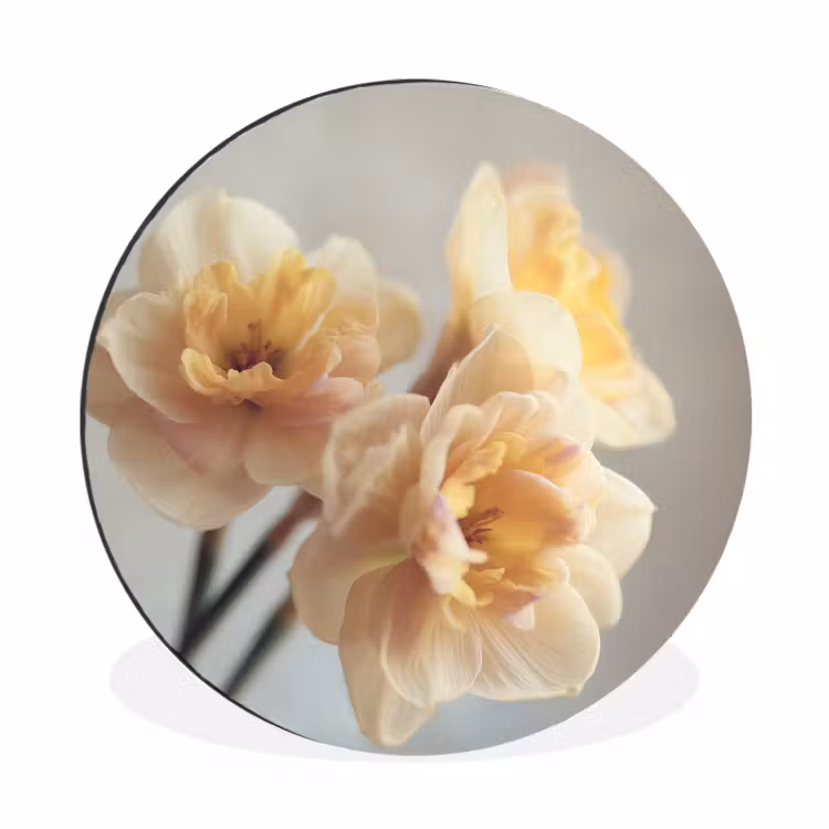 Wandcirkel - Aluminium - Narcissen - Geel - Bloemblaadjes — 1