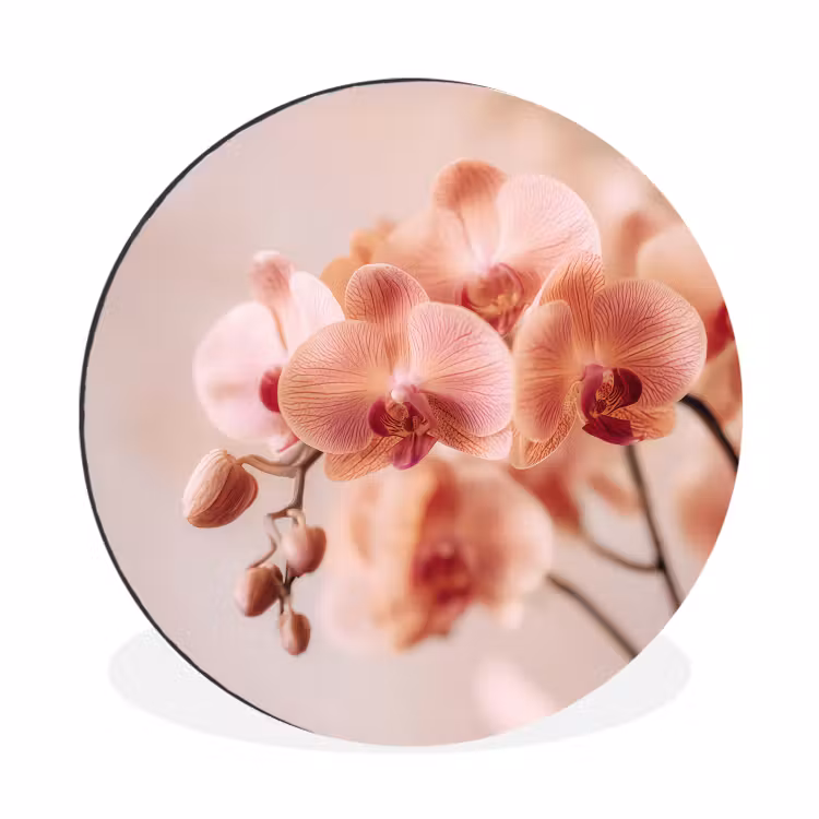 Wandcirkel - Aluminium - Orchidee - Bloemen - Roze - Bloemblaadjes — 1