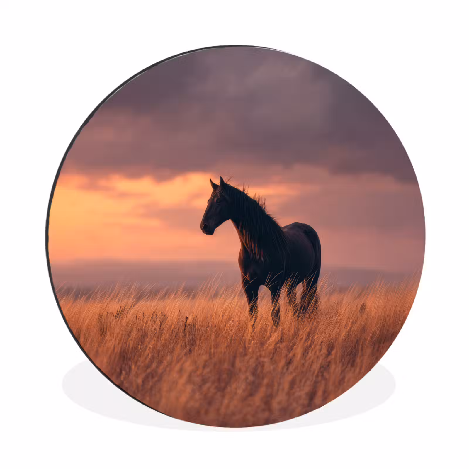 Wandcirkel - Aluminium - Paard - Wolken - Open veld — 1
