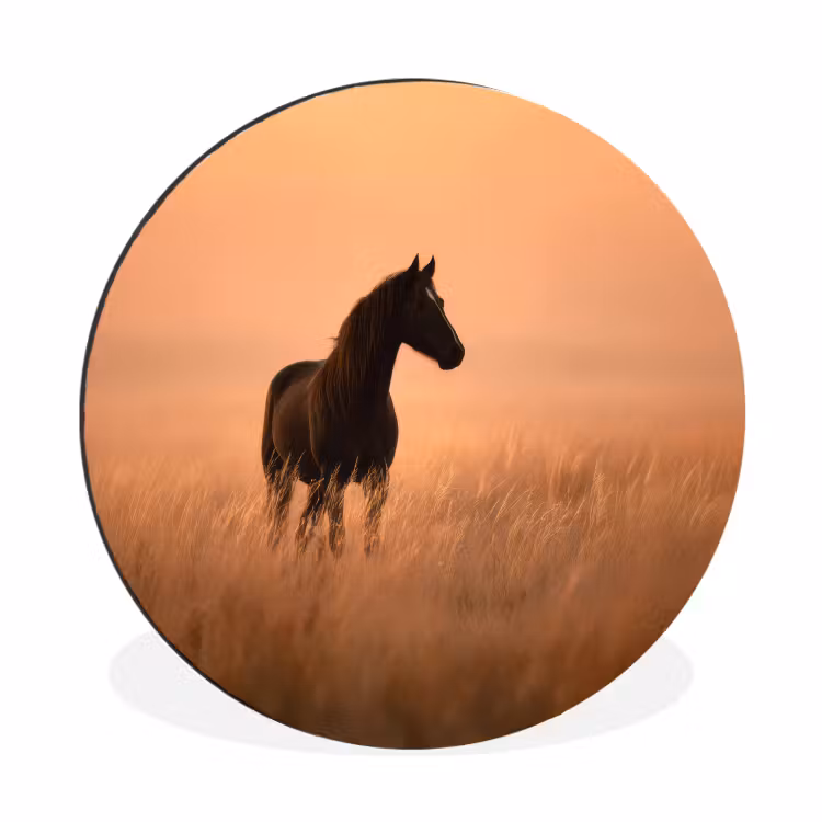 Wandcirkel - Aluminium - Paard - Grasveld - Zonsondergang — 1
