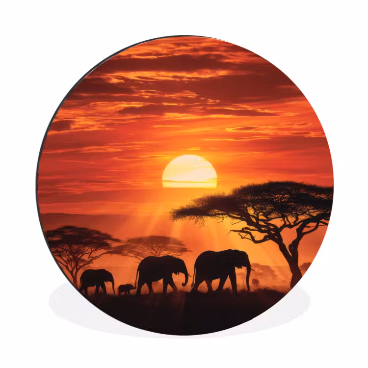Wandcirkel - Aluminium - Savanne - Olifanten - Zonsondergang — 1