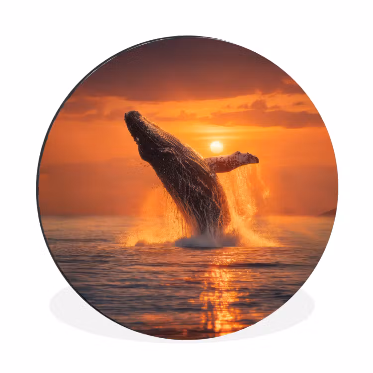 Wandcirkel - Aluminium - Walvis - Zon - Zee — 1