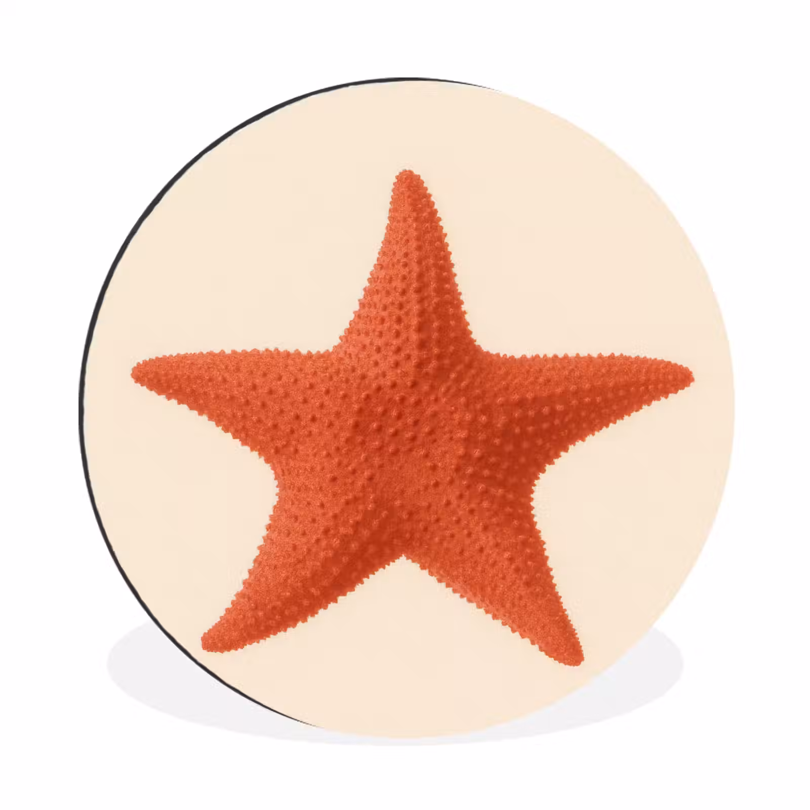 Wandcirkel - Aluminium - Zeester - Bobbels - Rood — 1
