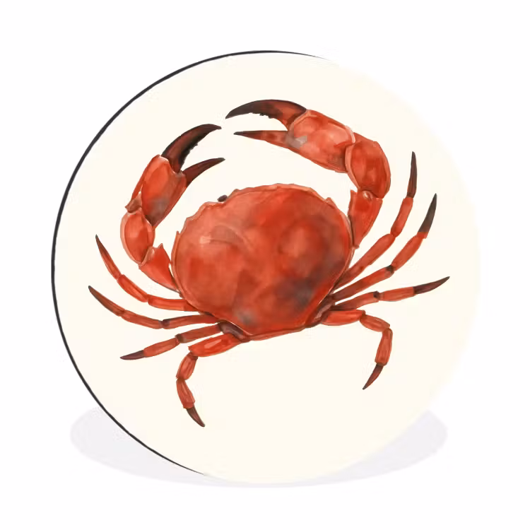 Wandcirkel - Aluminium - Krab - Felrood - Poten — 1