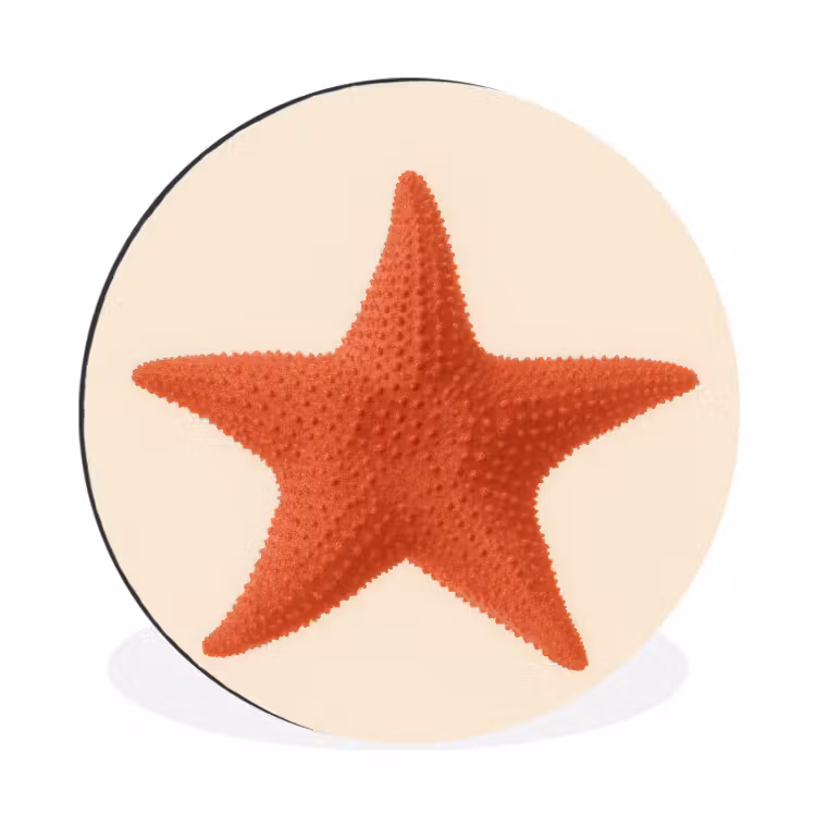Wandcirkel - Aluminium - Zeester - Bobbels - Rood — 1