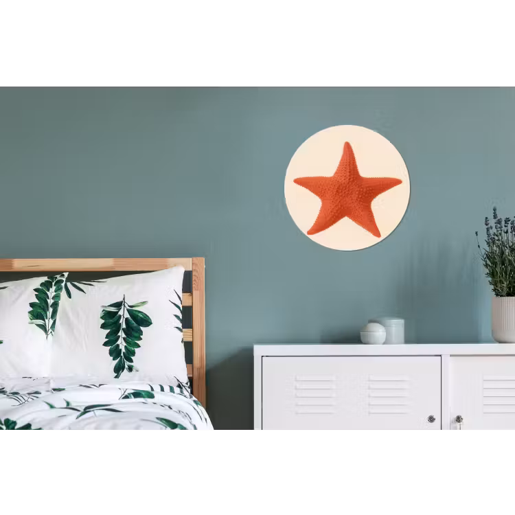 Wandcirkel - Aluminium - Zeester - Bobbels - Rood — 4