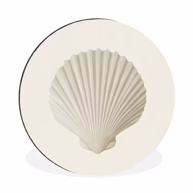 Wandcirkel - Aluminium - Schelp - Minimalistisch - Wit — 1