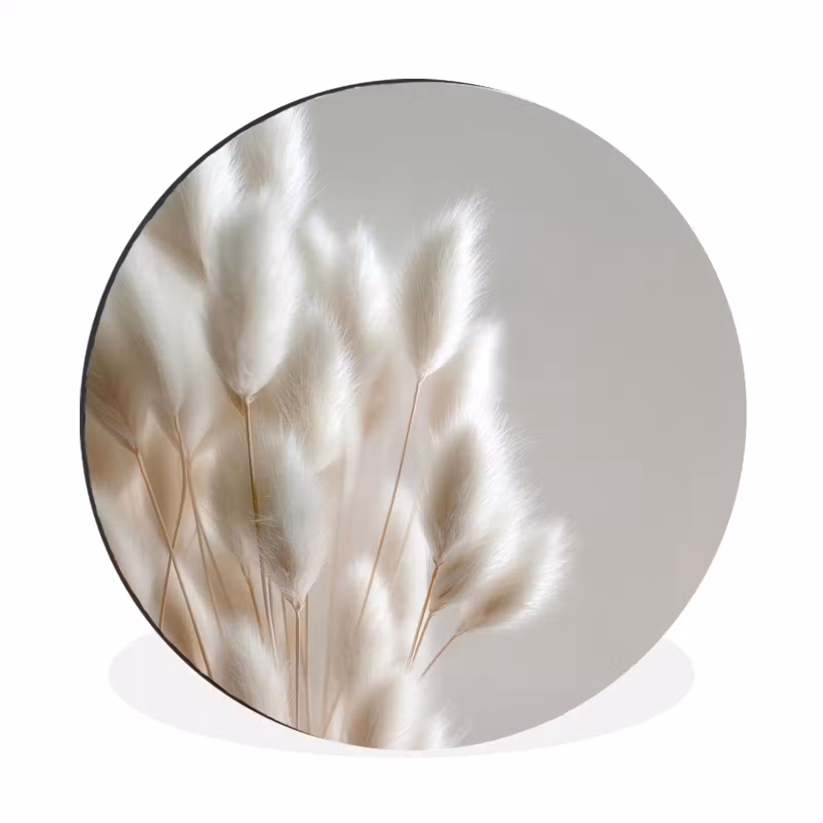 Wandcirkel - Aluminium - Pluimen - Beige - Minimalistisch — 1