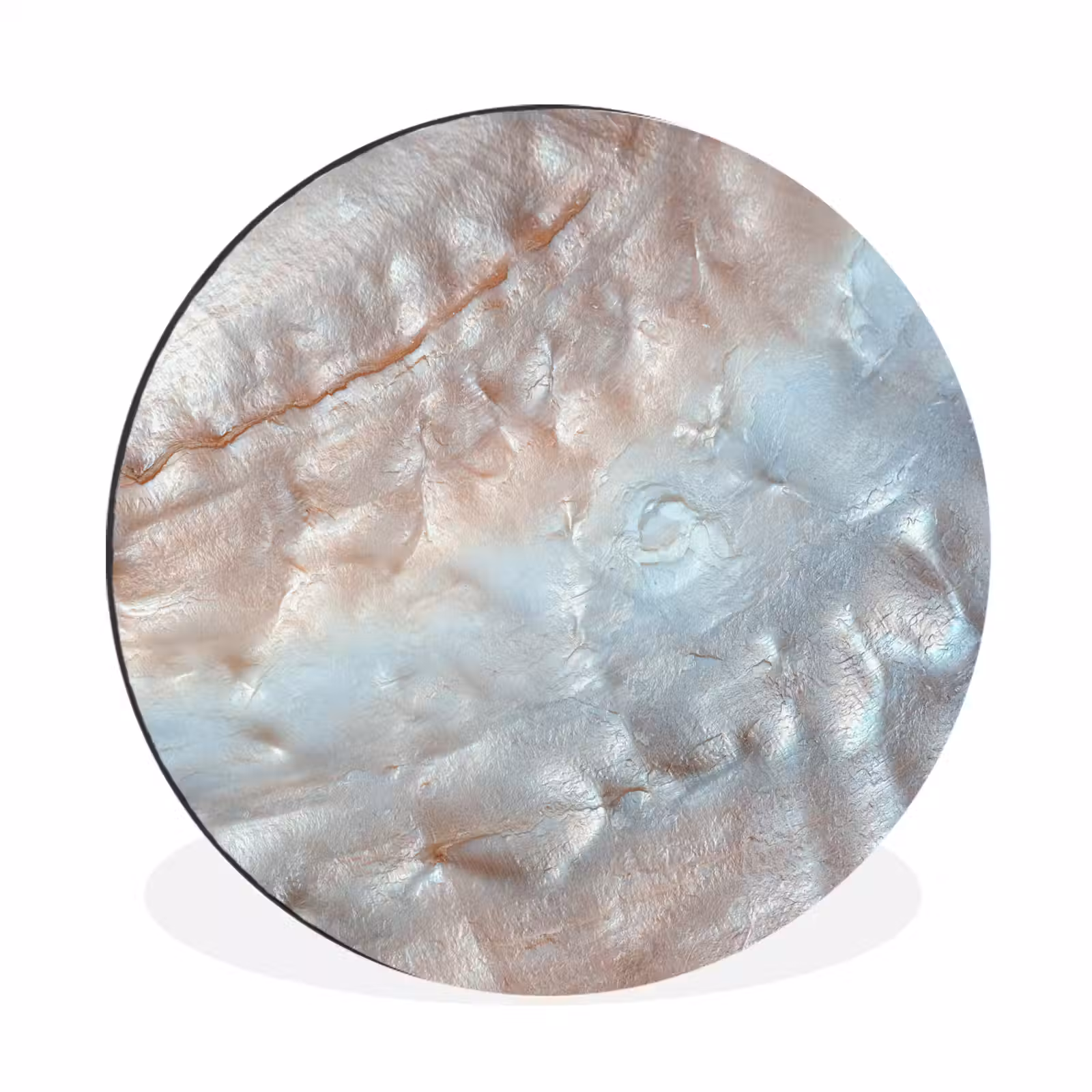 Wandcirkel - Aluminium - Schelpen - Abstract - Natuur — 1