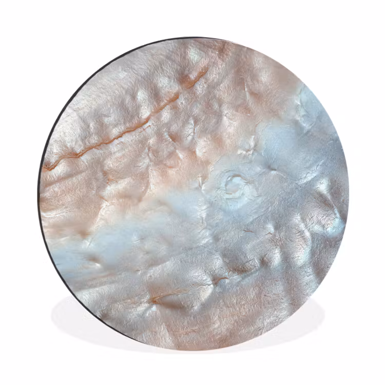 Wandcirkel - Aluminium - Schelpen - Abstract - Natuur — 1