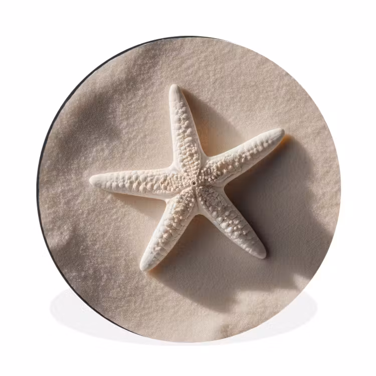 Wandcirkel - Aluminium - Strand - Zeester - Zand - Beige — 1
