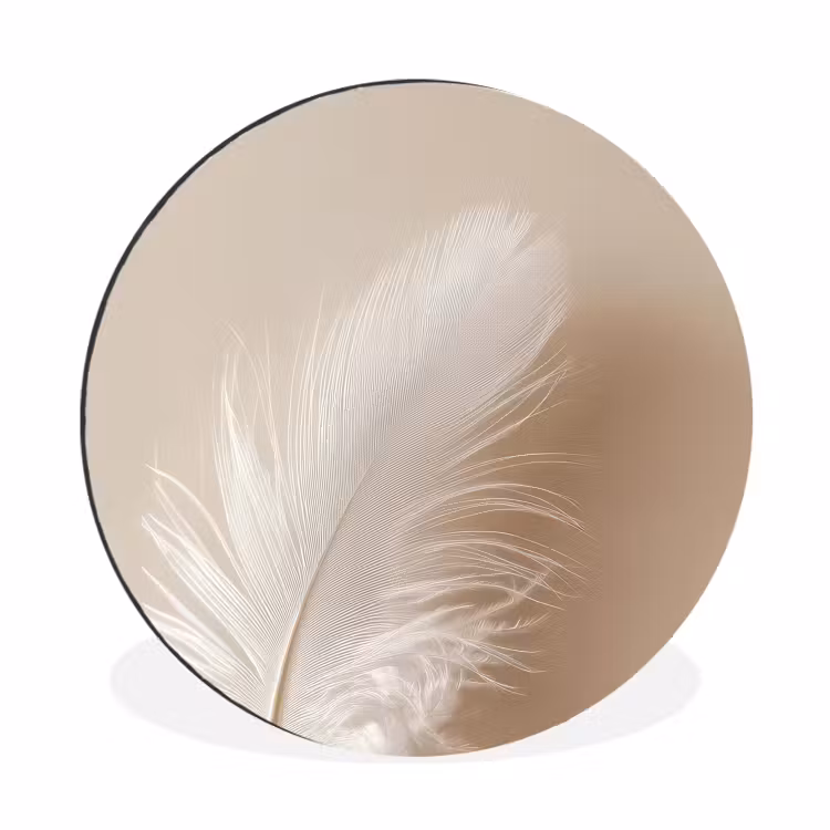 Wandcirkel - Aluminium - Veer - Minimalistisch - Roze — 1