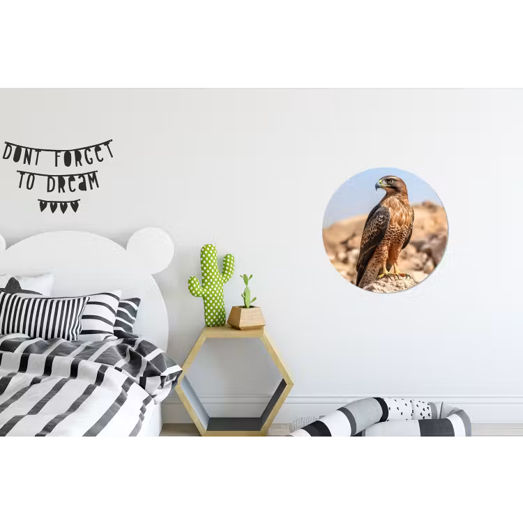 Wandcirkel - Aluminium - Valk - Vogel - Rots - Macht — 5