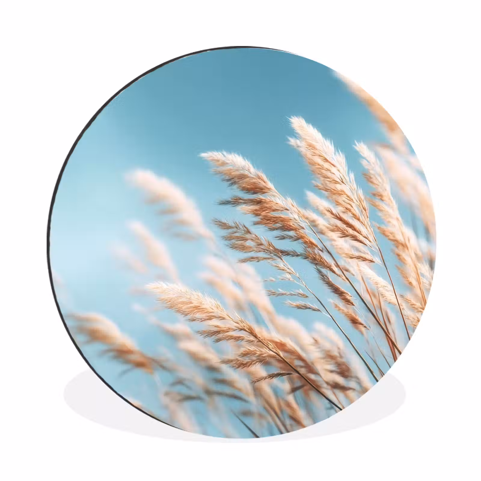 Wandcirkel - Aluminium - Siergras - Wind - Lichtbruin — 1