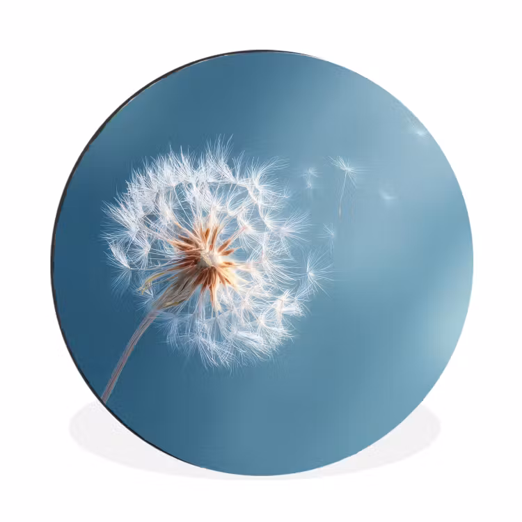 Wandcirkel - Aluminium - Paardenbloem - Wind - Blauw — 1